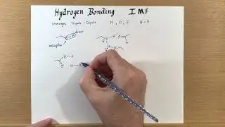 Hydrogen Bonding IMF