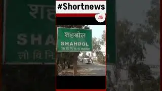 shahdol today news ,| #trendingnews #youtubevideo #mpnews #viralreels