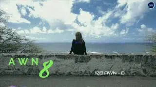 8 - AWN [MV]