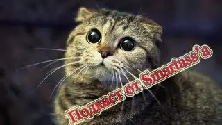Подкаст #2 (Smartass) [О наболевшем]