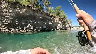 Pesca con mosca Linares, regi&oacute;n del Maule. TEMPORADA 24@dragonfly-pescaconmosca-li1809 