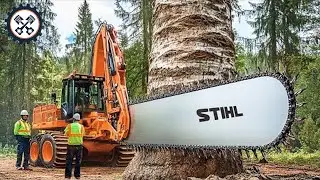 30 экстремально опасных навыков вождения крупногабаритного лесовоза | Самая быстрая бензопила на ...