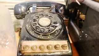Rexall Pharmacy Phone Found! Veterinary Office Bottle Dump 13 (Bottle Digging)