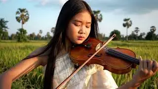 A Beautiful Young Girl Playing a Sad Violin in the Rice Fields