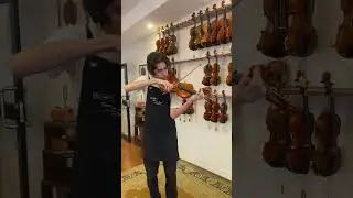 NEW 2025 Andrea Schudtz Master Italian Violin - 'Guarneri del Gesu' 🔥 #madeinitaly#violin#violinist