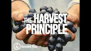 Sunday, August 31, 2025 - Virtue: The Harvest Principle