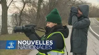 Le territoire mohawk de Kahnawake est une oasis accueillante pour les oiseaux migrateurs