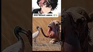 &ldquo;AI Creates Realistic Camel Scene | Viral Visuals&rdquo;#animals #nature#rescue