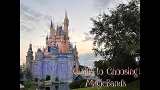 Guide to Ordering MagicBands