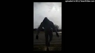 🎶