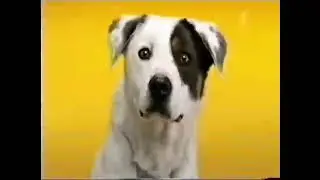 pedigree2015