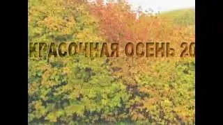 Красочная осень 2014 / Colorful autumn 2014