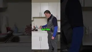 Are there Cockroaches in YOUR Kitchen? #shorts