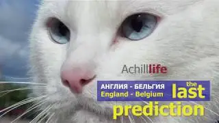 Achill Life: England - Belgium (The last prediction) Ахилл предсказывает матч Бельгия - Англия