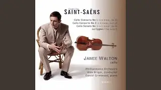 Cello Concerto No. 1 in A Minor, Op. 33, R. 193: II. Allegretto con moto