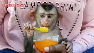Awesome!! Mom Teach Baby Monkey KAKO Use Spoon Eat Orange Jelly