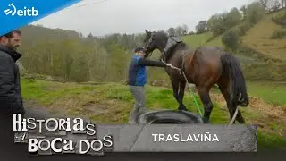 HISTORIAS A BOCADOS: Traslaviña
