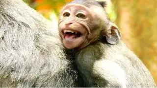 Baby Cry Seizure !! Sami  So terrifying Cos Hungry Milk, Why Mum Wean Baby Cruelty Like This?