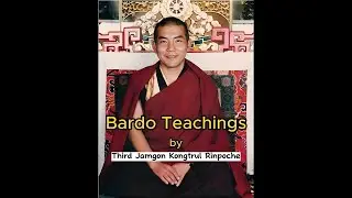 Tibetan Buddhism: Bardo Teachings by Third Jamgon Kongtrul Rinpoche