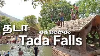 Where is Tada falls - தடா நீர்வீழ்ச்சி #tamilvlog