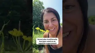 Discover the Amazing Benefits of Fennel for Digestion and Wellness! 🌿