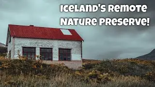 Nature's Awe and Wildlife Unfold in Iceland's Remote Hornstrandir!