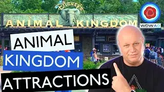 ALL DISNEY'S ANIMAL KINGDOM ATTRACTIONS & RIDES | WALT DISNEY WORLD