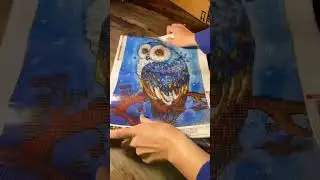 🦉🥹🎀 the unboxing of the owl artwork #diamondart #diy #diamondpainting #handicrafts #shorts