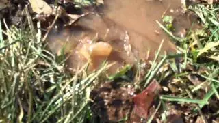 Detecting a lawn sprinkler system water leak
