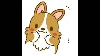 Why Judy Why Cover