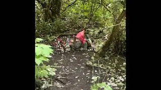Hobbit Trail - Iverson Spit | Camano Island, WA