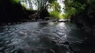 Peaceful River Water ASMR – Natural Sounds to Clear Your Mind | No Music