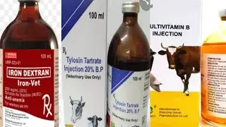 BASIC MEDICINES IN PIG FARMING
