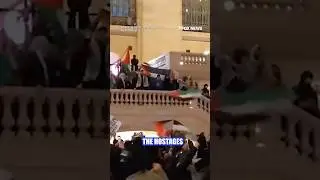 Anti-Israel protesters take over Grand Central, NYC streets with demonstrations #gaza #israel #nyc