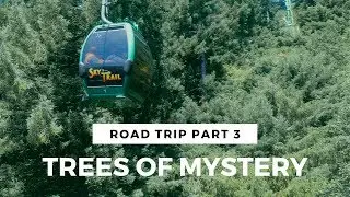 Road Trip | California to Oregon | Trees of Mystery