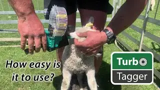 TurbO Tagger - How easy is it to use?