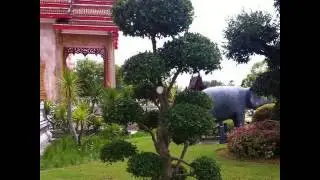 Girulinda