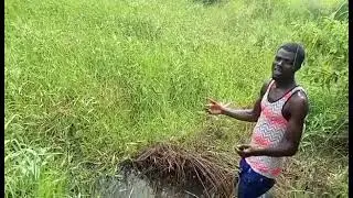Okpe (Fish Pond) | AKPOHA LAND