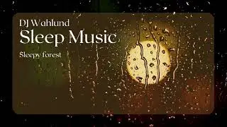 DJ Wahlund - Sleepy forest