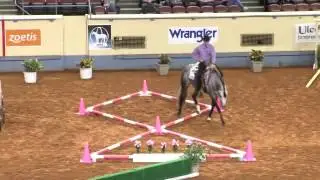 Signature Absolute 2014 AQHA World Champion in Jr. Trail