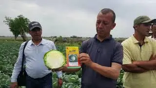 AGRO EXPORT GROUP agroTIP