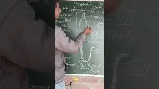 Biology short note for 12th Human SPERM structure #$$##