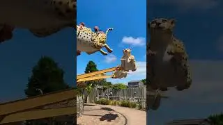 Flying Cheetahs Ride @DrusillasZooPark  England #shorts #viralshorts #ytshorts #fyp #themepark