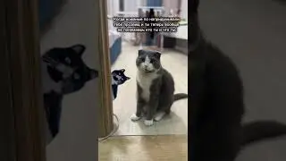 Кто я?😳