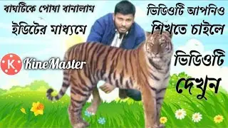 KineMaster Tech360 _ ইডিটের মাধ্যমে বাঘটিকে পোষা বানালাম ।। How to add tiger on mobaile _ আহসান