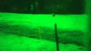 nightscope 291  coyote  Maine