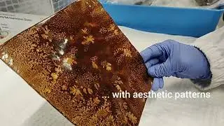 Turning Cotton Waste into Eco-Friendly Bioplastics | A Sustainable Farming Innovation