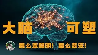 三种改变大脑的方式 #独立思考 #心理学 #心理学知识 #大脑 #大脑可塑性