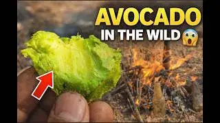 I Roasted an Avocado Over Fire Like Primitive Humans