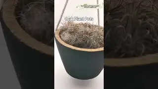 OEM FDA Reusable Cork Plant Pots Holder Flower Succulents Biodegradable